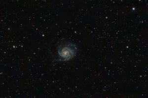 M101 Nikon D90 on Altair Wave 115/805 (f/7), ISO 400 90 minutes: 9 frames of 10 minutes each.