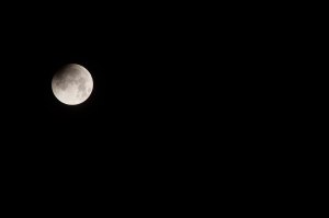 2.06am. The shadow is just visible. Nikon D90 through Nikkor Nikon 300mm f/4 AF. 1/1250 sec f/8, ISO 800. 